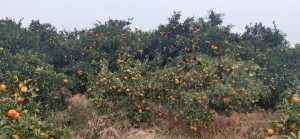 wx_camera_1602668138498.jpg