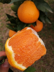 微信图片_20201024114155.jpg