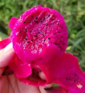 JPEG_20201005_0013580190.jpg