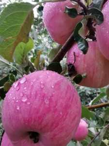 IMG_20201008_075420.jpg