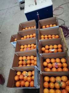 DB271492-9642-47A1-B729-586639CFE2EA.jpeg