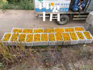 1604035748752_3d0df533-1362-4a6c-8f2d-282e1c350977_by_weibo_editor.jpg