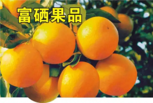 6F8871DE-A059-4B1F-A060-BF190A316AFF.png