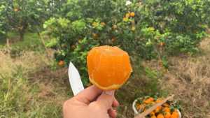 1C5C6B6C-6E16-4F3E-8B8F-77291F0DDF06.jpeg