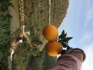 A90C751E-0D3F-4445-8710-93C84D056A5E.jpeg