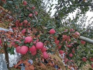 微信图片_20201110094038.jpg