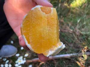 AD1F1D22-9334-4E8C-A0D7-5F05B70ED172.jpeg