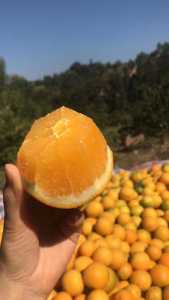 D453E37D-A12E-47E1-8BF9-636E08837D27.jpeg