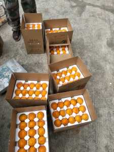 microMsg.tmp.1605010108608.jpg
