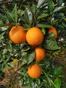 IMG_20201108_093654.jpg