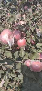 wx_camera_1603595558036.jpg