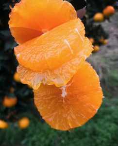 B373CFA4-7F77-4643-A64F-B0FD3E56A042.jpeg