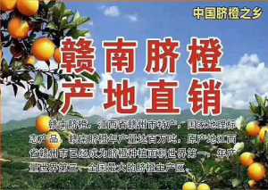 A10027CE-BFAA-4EF7-9116-E96E3E147519.jpeg