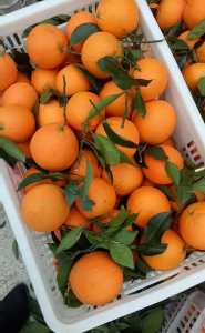 IMG_20201120_110135.jpg