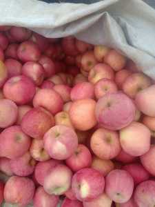 IMG20201105095517_03.jpg
