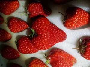 23BA6300-4E9E-4394-8665-97FDA122BE9E.jpeg