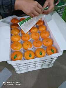 mmexport1607327661273.jpg