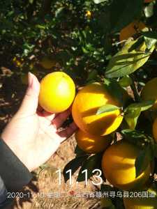 2020_11_10_11_13_14.jpg