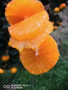 F6ECB5ED-BF9E-4819-963A-FD678BC0E16F.jpeg