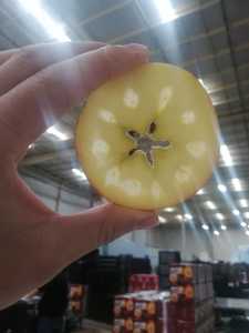 IMG_20201107_154105.jpg