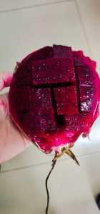 IMG_20201213_160250.jpg