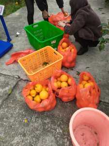 IMG_20201208_165239.jpg