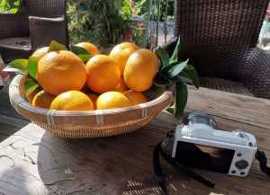 DF1DD7D1-B393-4CFA-A905-A026B6E7A531.jpeg