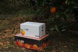 mmexport1607761307553.jpg