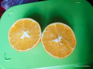 IMG_20201216_094136.jpg