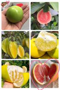 7337EFFA-B12C-4823-A60C-8A0FEE1AB718.jpeg