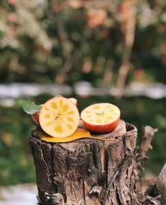 6B0F9EAD-BFCA-4286-B1AE-7D5B77BF9A45.jpeg
