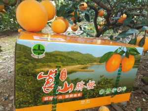 C30861A7-D1C0-41BD-AEBB-0D44088C03A6.jpeg
