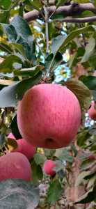 IMG_20201024_183007.jpg