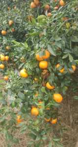 IMG_20201202_161230.jpg