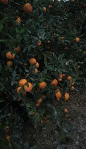 IMG_20201128_180614.jpg