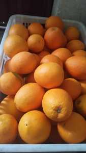 IMG_20201210_143332.jpg