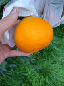 IMG_20201218_171233_1.jpg