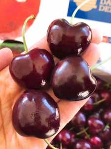 9840BB3F-E6BE-4191-8B4B-88B62D81AB8A.jpeg