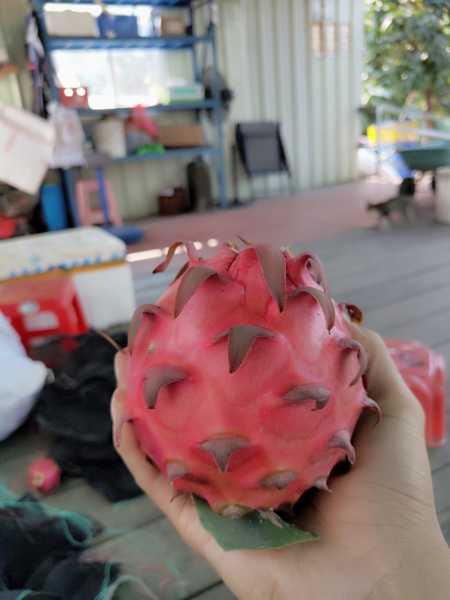 P01126-110007.jpg