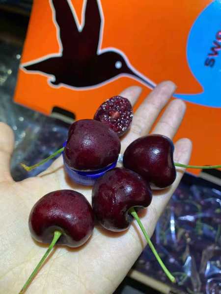 82B3DAAC-5D75-4F4F-9A30-02C21BF67102.jpeg