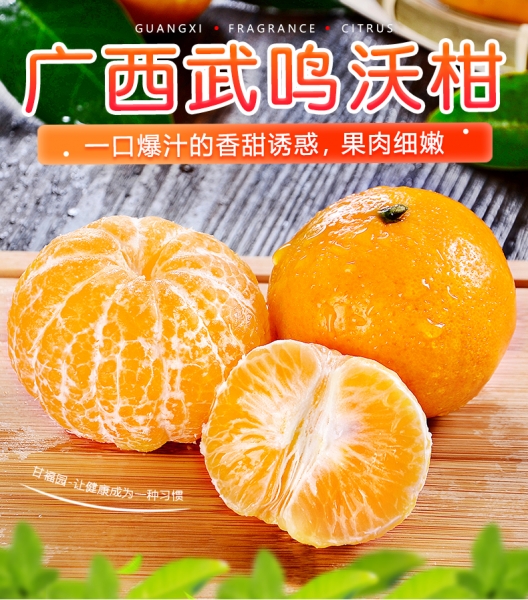 O1CN01sdE4Hv1hi1g91Ld9j___3015214310.jpg