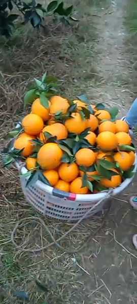 Screenshot_2021-01-02-07-47-54-922_com.miui.video.jpg