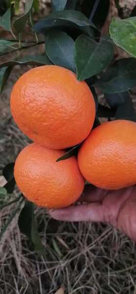 EDCBA27B-D31B-4CFE-92FE-5276F7196763.jpeg