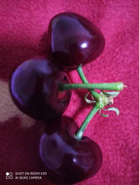 1610961203139.jpeg