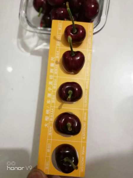 1612149281934.jpeg