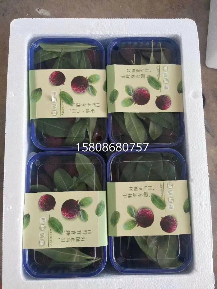 mmexport1615965871664.jpg