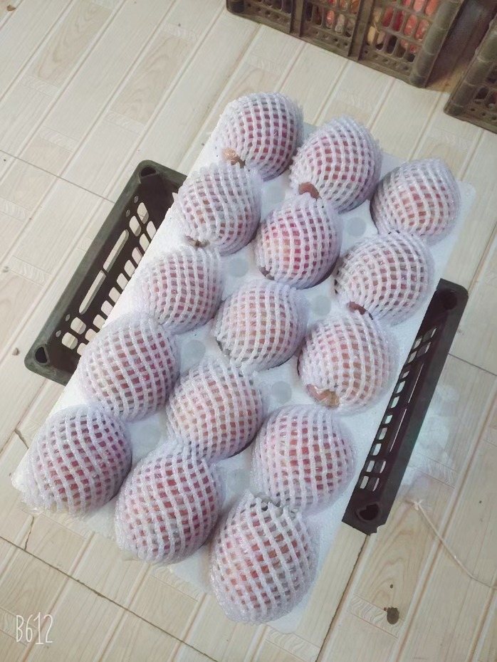mmexport1615185713744.jpg