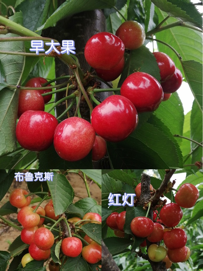 23460EA3-6E18-46AC-82AC-4110F85C0F1B.jpeg