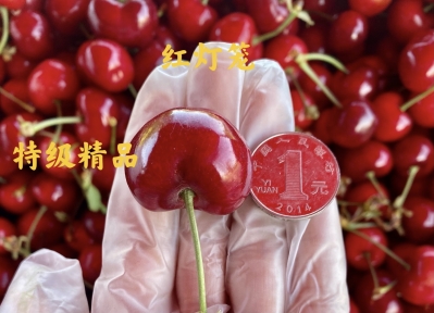 微信图片_20210607080826.jpg