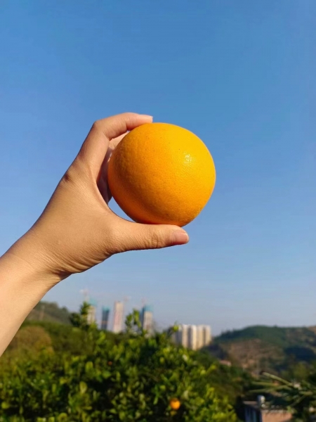 微信图片_20231103164013.jpg